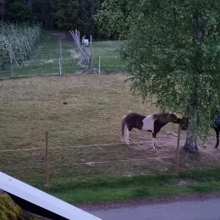 Historisk Opphold Pa Borte Gard Πανσιόν